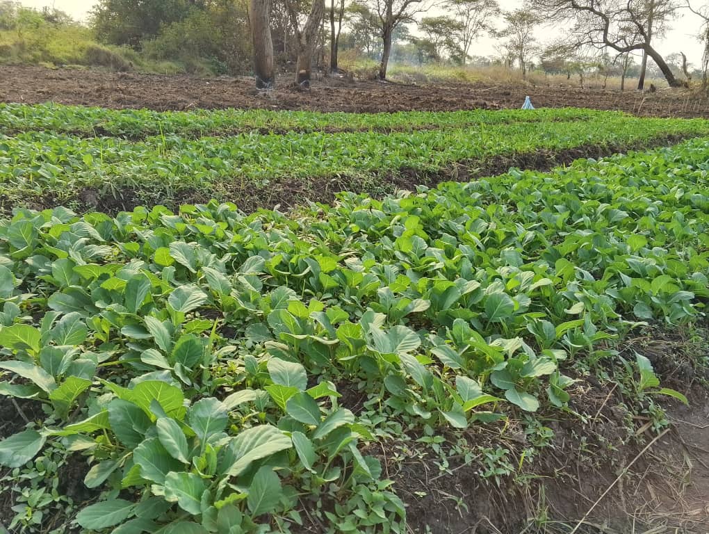 Exploitation agricole
